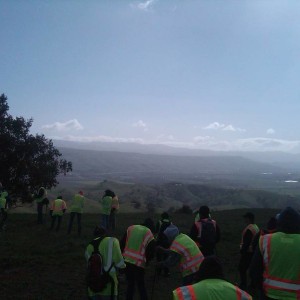 IMG01008-20120401-0937