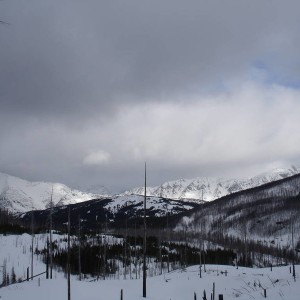 DSC022083