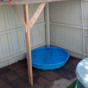Covered dog pool