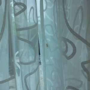 Ninja spider