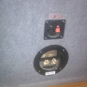 Subwoofer and Amp
