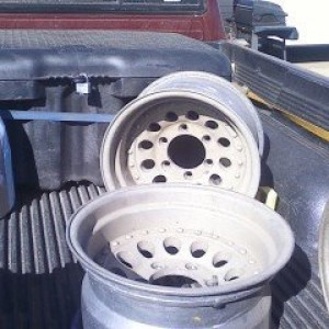 Photo03311018_1