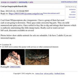 Damn things are creepy looking