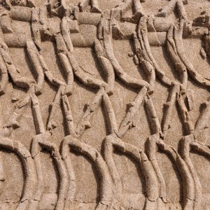sand-treds