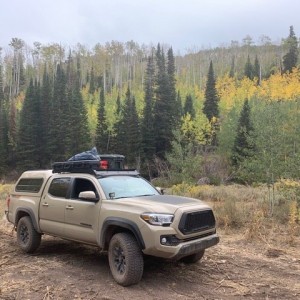 Uinta NF