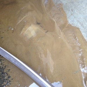 Fuck you mud!
