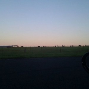 Pretty.