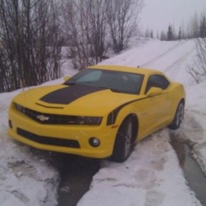 Holy breaking midlife crisis, taking her home from the dealer. Can't e