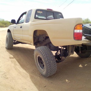 flex61