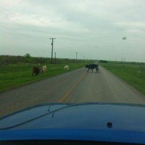 Texas