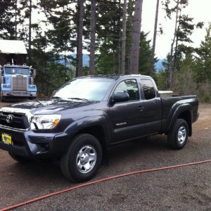 Stock