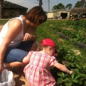 Took the wife and kiddo to a strawberry patch to pick strawberries today.