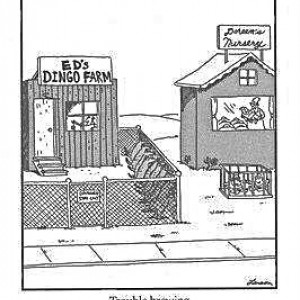 FarSideTroubleBrewing_001_1_