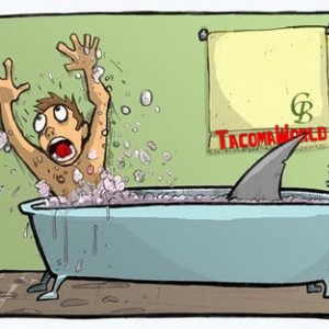 Chris_shark_copy