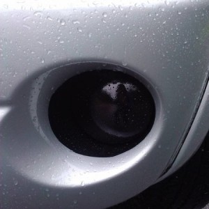 Black Fog Lights