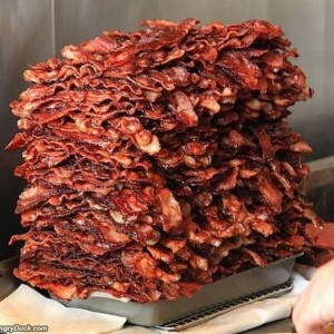 bacon