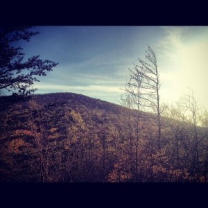 View from my mtb ride today
