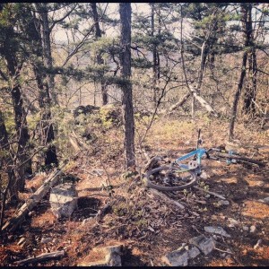 Mtb ride today