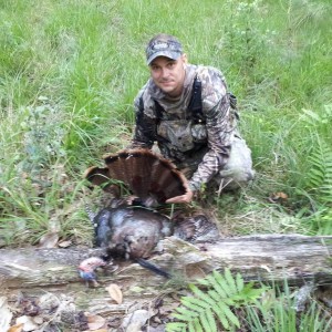 Turkey #2