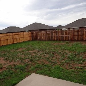 Large yard, sod was put in last week
