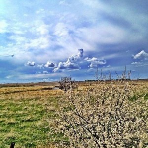 I miss South Dakota