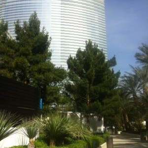 The view from my office