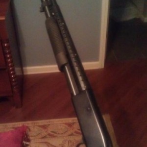 mossberg