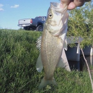 the big one ;) lol