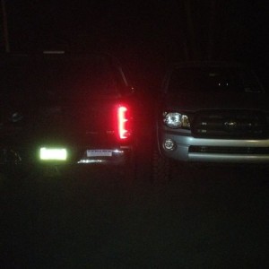 Asshole in a ram