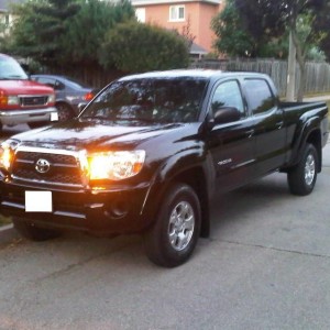 First day i picked her up and took her home
