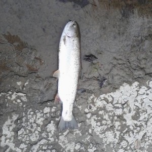 Image04172012182105