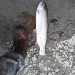 Image04172012182114