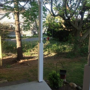 Let my summer griping begin... Neighbors yard
