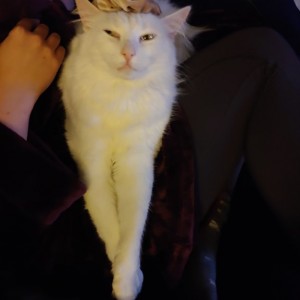 liveDZJUoX.jpg