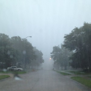Not a very good picture, or representation, but that's the Houston rai