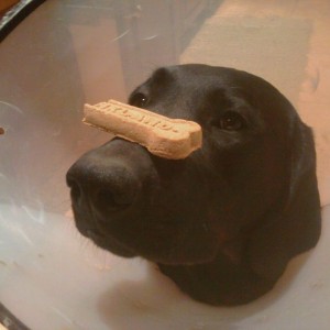 Can i have it now????? Lol
