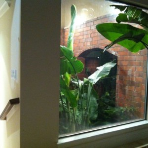 It use to be outside but now it's enclosed in.