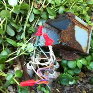 Why they installed this junction box in the lowest area of the yard next to
