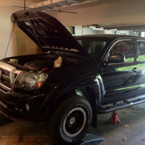 FAT. Oil change in my garage. Used Castrol 5w30 titanium full syn. It was o