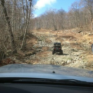 Stag Hill