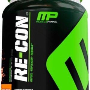 mp_recovery