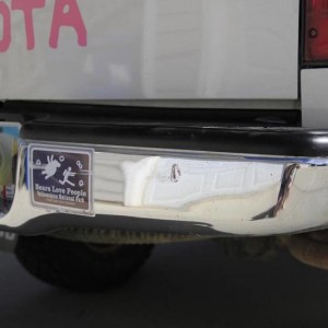 bumper_26