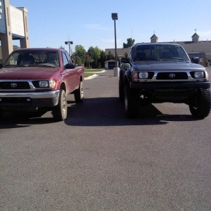 next to a stock taco