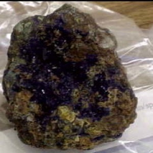 Agate4
