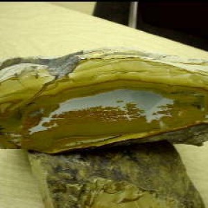 Agate5