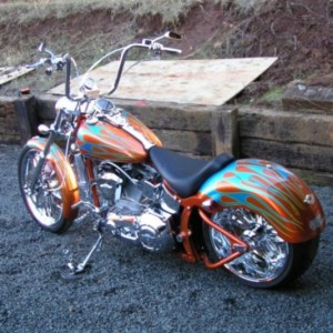 photo8