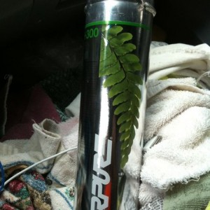 $140.00 water filter!