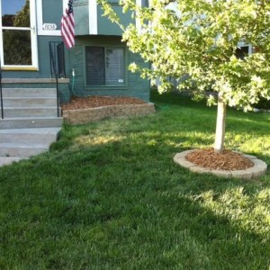 Landscaping like a boss at the GF's house...