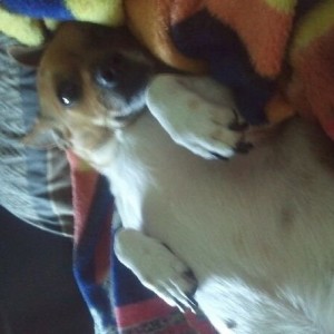 Harley girl :-)