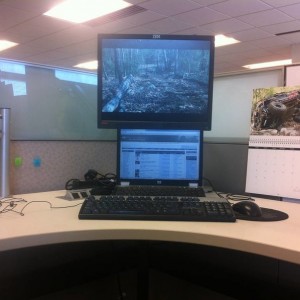 My Desk